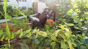 Rafjam Bed And Breakfast Kingston Extérieur photo